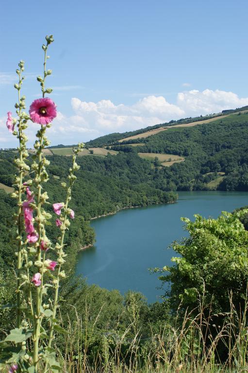 Les Hotes Du Lac, Chambres Et Tables D'Hotes Mandailles  Exterior foto